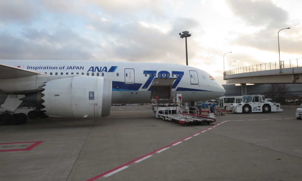 ANA ボーイング787