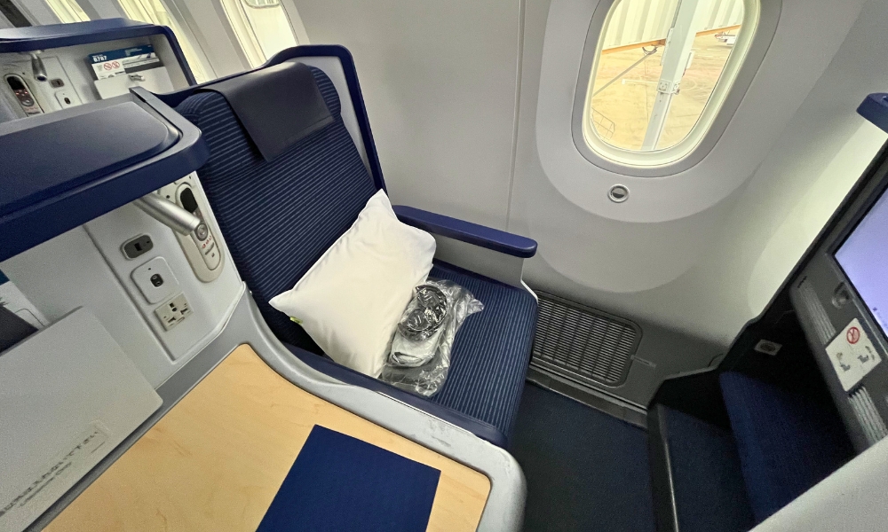 ANAボーイング787 ビジネスクラス BUSINESS STAGGERED